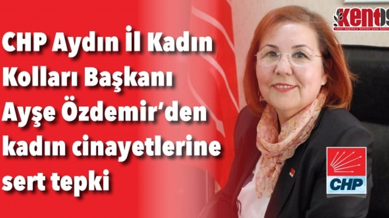 CHP’li Ayşe Özdemir’den kadın cinayetlerine sert tepki