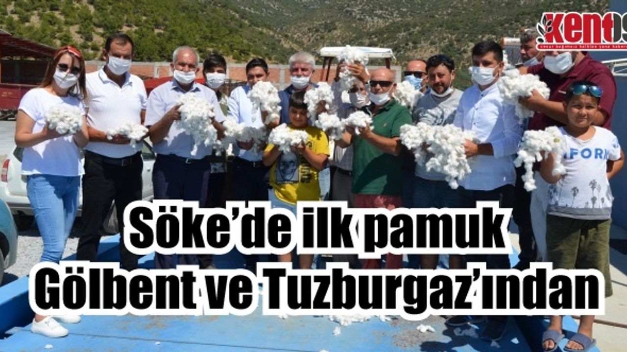 Söke’de ilk pamuk Gölbent ve Tuzburgaz’ından