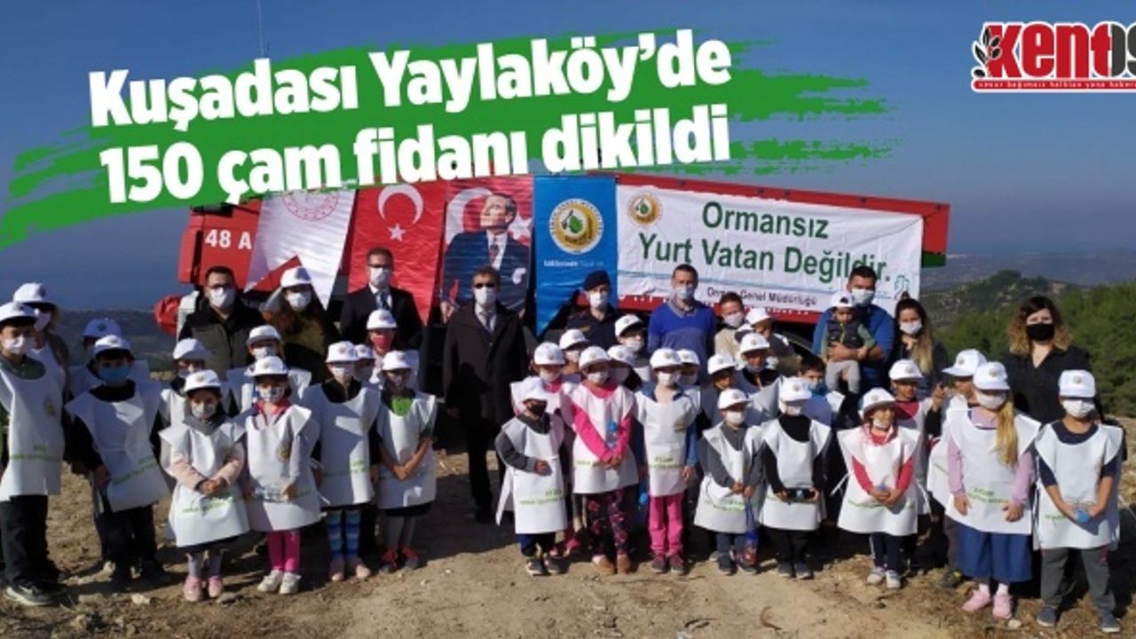 Kuşadası Yaylaköy'de 150 kızılçam fidanı dikildi