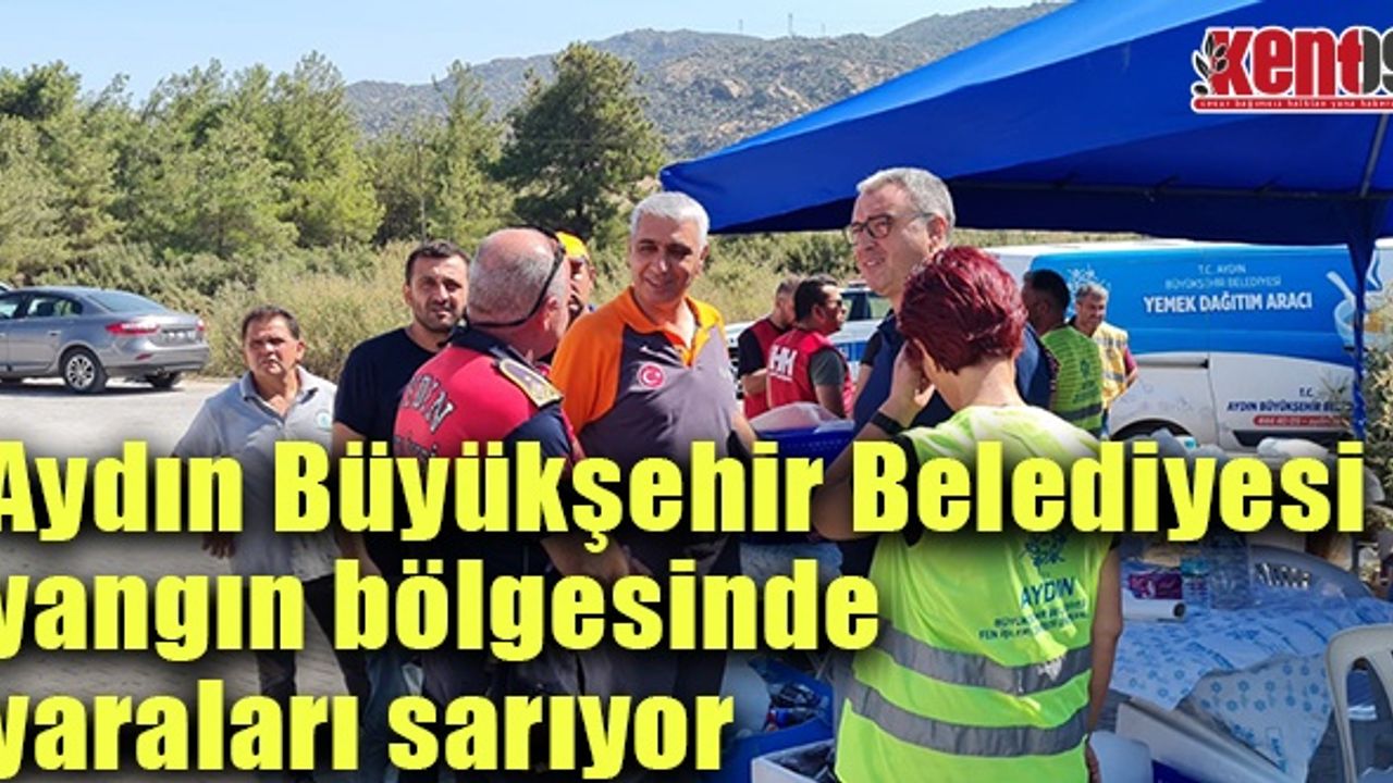 Aydın Büyükşehir Belediyesi yangın bölgesinde yaraları sarıyor