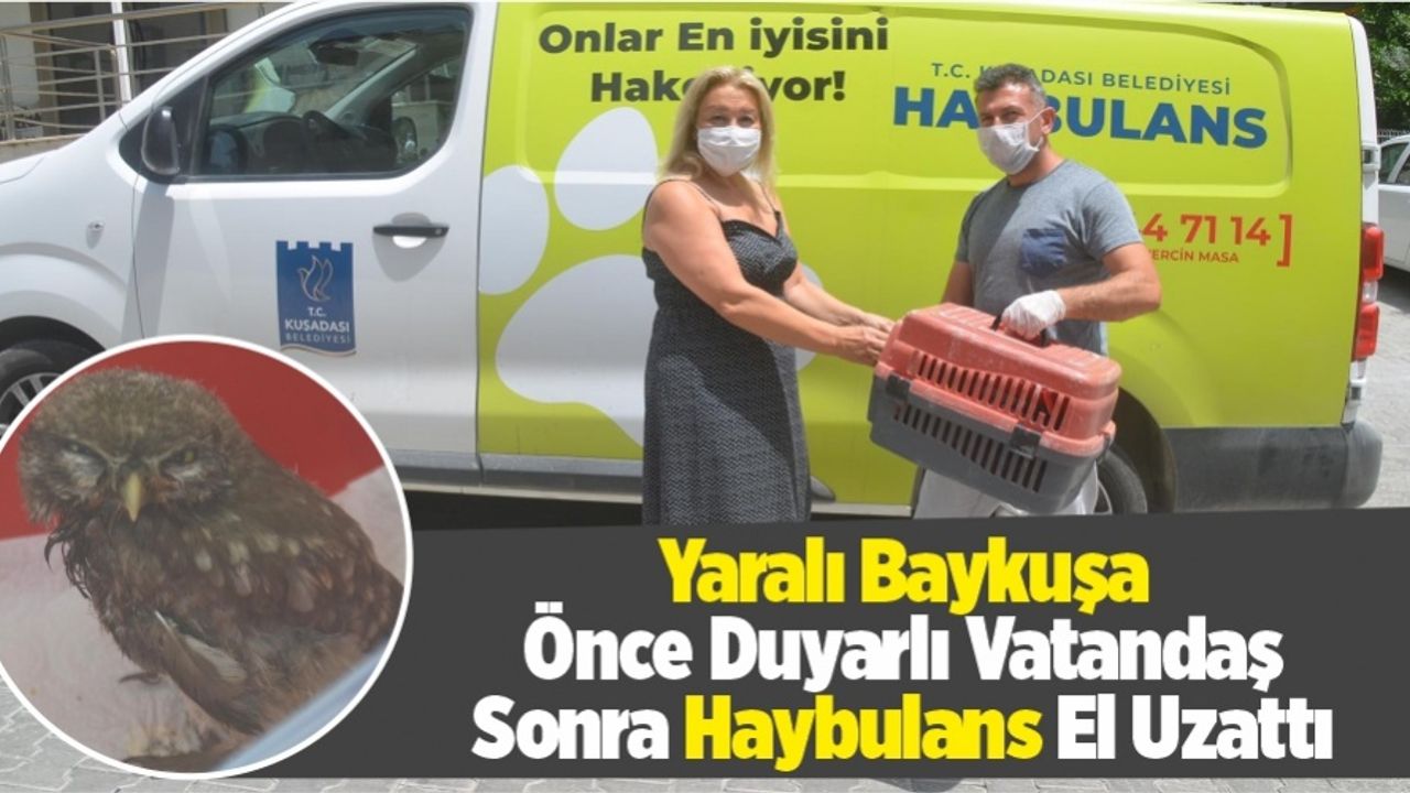 Yaralı Baykuşa Önce Duyarlı Vatandaş Sonra Haybulans El Uzattı
