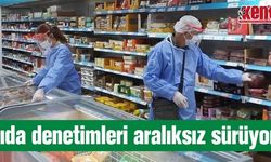 Aydın'da gıda denetimleri aralıksız sürüyor