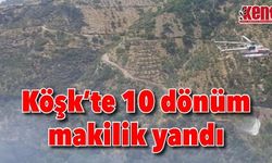 Köşk'te 10 dönüm makilik yandı