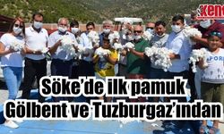 Söke’de ilk pamuk Gölbent ve Tuzburgaz’ından