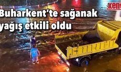 Buharkent'te sağanak yağış etkili oldu