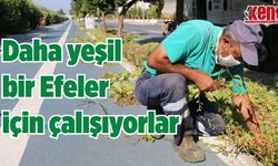 Daha yeşil bir Efeler için çalışıyorlar