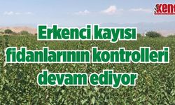 Erkenci kayısı fidanlarının kontrolleri devam ediyor
