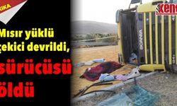 Mısır yüklü çekici devrildi, sürücüsü öldü