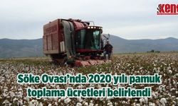 Söke Ovası’nda 2020 yılı pamuk toplama ücretleri belirlendi