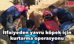 İtfaiyeden yavru köpek için   kurtarma operasyonu