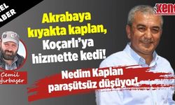 Akrabaya kıyakta kaplan, Koçarlı’ya hizmette kedi!