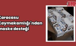 Karacasu Kaymakamlığı'ndan maske desteği