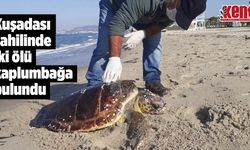 Kuşadası sahilinde iki ölü kaplumbağa bulundu 