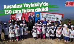 Kuşadası Yaylaköy'de 150 kızılçam fidanı dikildi