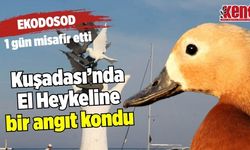 Kuşadası’nda el heykeline bir angıt kondu