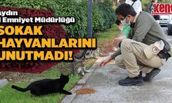 Aydın İl Emniyet Müdürlüğü Sokak Hayvanlarını Unutmadı!