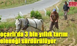 'Kırgız' adını verdiği atıyla çift sürüyor