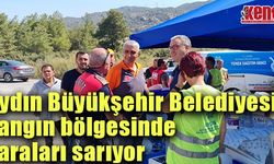Aydın Büyükşehir Belediyesi yangın bölgesinde yaraları sarıyor