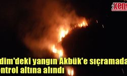 Didim'deki yangın Akbük'e sıçramadan kontrol altına alındı