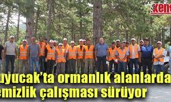 Kuyucak’ta ormanlık alanlarda temizlik çalışması sürüyor