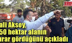 Vali Aksoy, 450 hektar alanın zarar gördüğünü açıkladı
