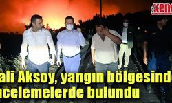 Vali Aksoy, yangın bölgesinde incelemelerde bulundu