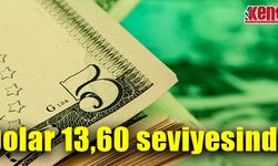 Dolar 13,60 seviyesinde