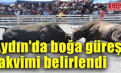 Aydın'da boğa güreşi takvimi belirlendi