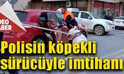 Polisin köpekli sürücüyle imtihanı