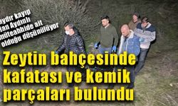 Son dakika: Zeytin bahçesinde kafatası ve kemik parçaları bulundu