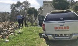 Germencik’te deprem hareketleri