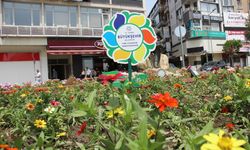 Aydın'da yaz aylarının gelmesi ile sokaklar renklendi