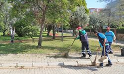 Efeler’in yeşil ekipleri, bahar temizliğini sürdürüyor