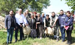 Başkan Çerçioğlu'ndan koyunları telef olan kadına destek