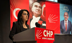 CHP’li Yolcu, kadın cinayetini kınadı