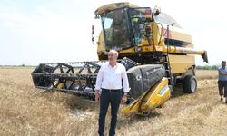 Başkan Atabay, buğday hasadına katıldı