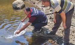 Aydın’da 934 bin sazan suya bırakıldı