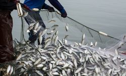 Egeli balıkçıların 11 aylık ihracatı 1 milyar doları aştı
