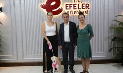 Başkan Yetişkin: "Efeler'deki her can güvende"