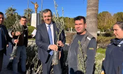 Muğla Dalaman'da zeytin ve ceviz fidanları dağıtıldı