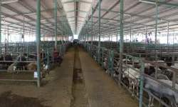 Manisa’da bayram hazırlıkları tamam!