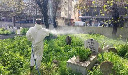 Siirt’te mezarlıklarda yabani otlara karşı ilaçlama çalışması başlatıldı