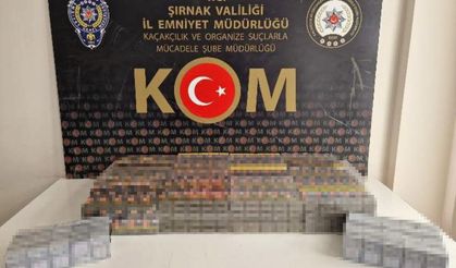 Şırnak’ta asayiş ve kaçakçılık operasyonu: 47 gözaltı