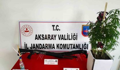 Jandarmadan uyuşturucu ve kaçak silah operasyonu