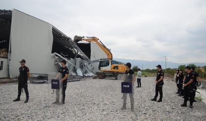 Bursa Osmangazi'de kaçaklar yıkılıyor tarım kazanıyor