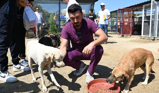 Kuşadalı turizmciden çiftliğindeki kaçak yapılara barınak kamuflajı